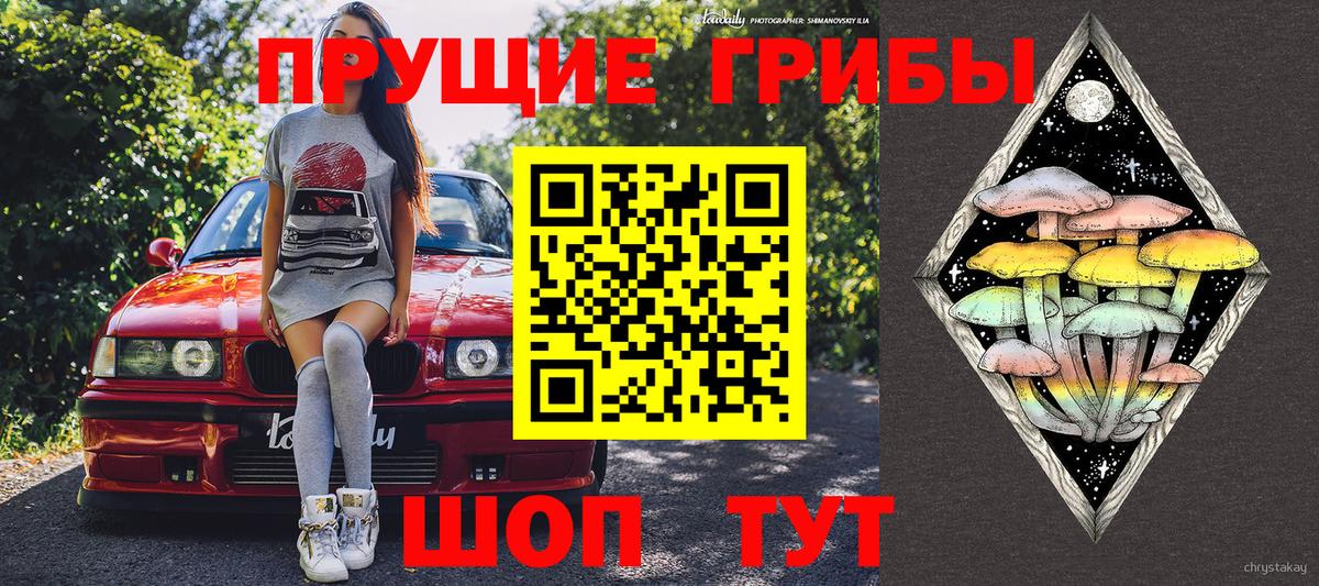 Рязань  Галлюциногенные грибы Magic Shrooms  Вход с VPN 